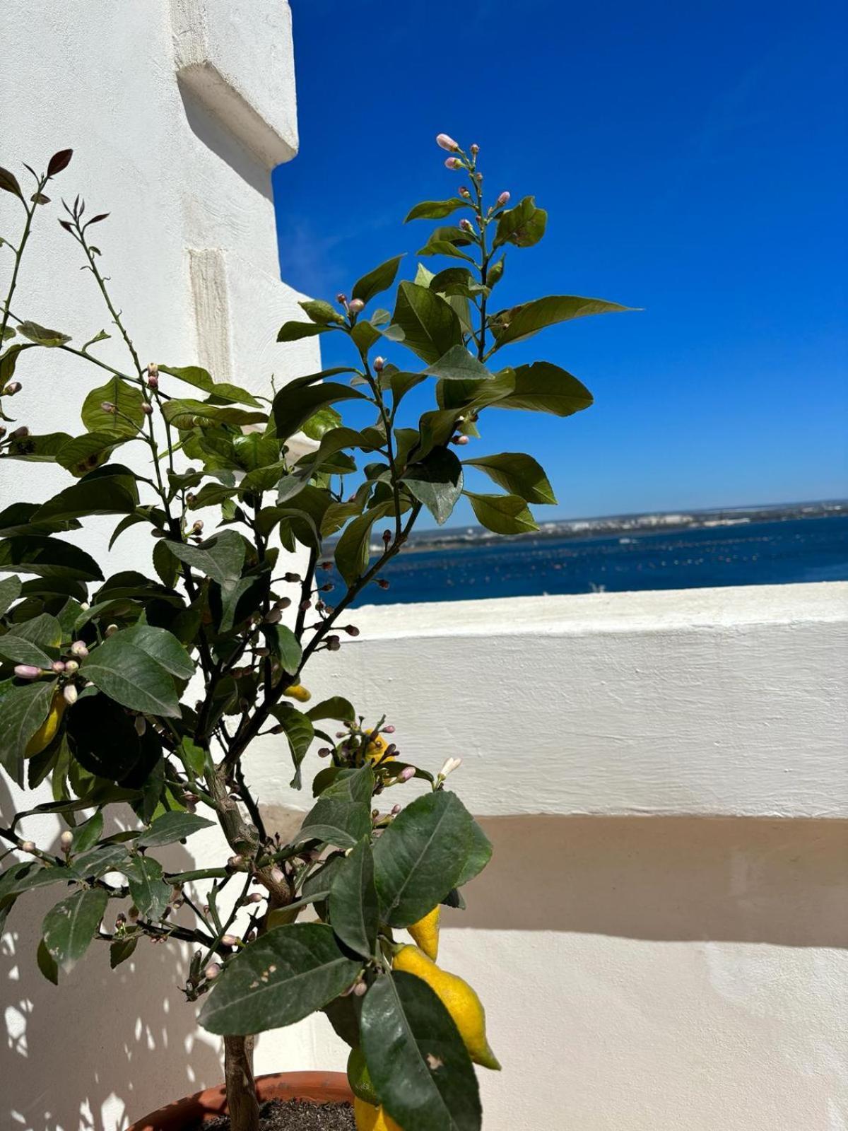 Il Palazzino Taranto Exterior foto